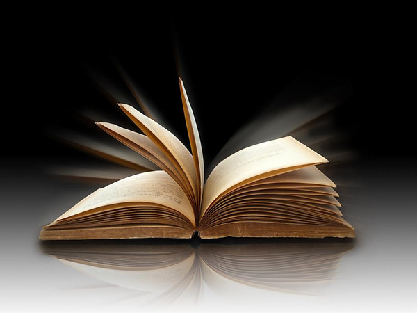 Debrecen v�ros magisztr�tus�nak jegyz�k�nyvei 1610, 1618-1619