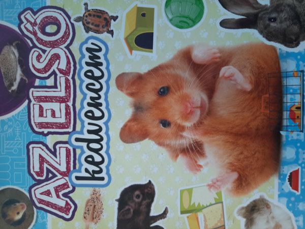 Az els kedvencem