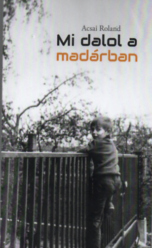Mi dalol a madrban