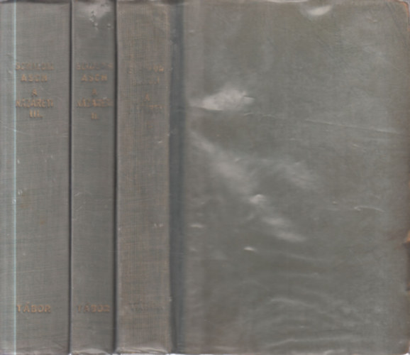 Schalom Asch - A N�z�reti I-III.