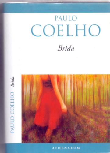 Paulo Coelho - Brida (Kpes lennl mindent felldozni leted prjrt?)