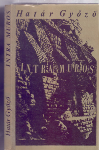 Intra muros (Aporiagyjtemny)