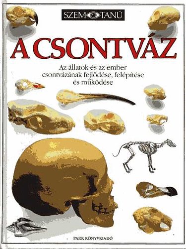 A csontvz (Szemtan)
