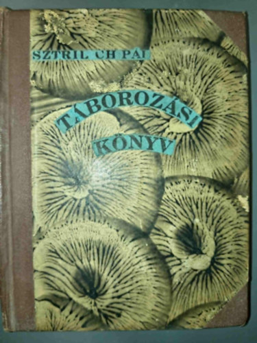 Sztrilich Pál  (szerk.) - Táborozási könyv (Magyar Cserkész Könyvei)