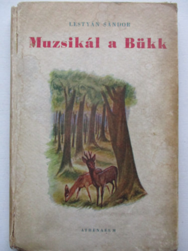 Muzsikl a Bkk