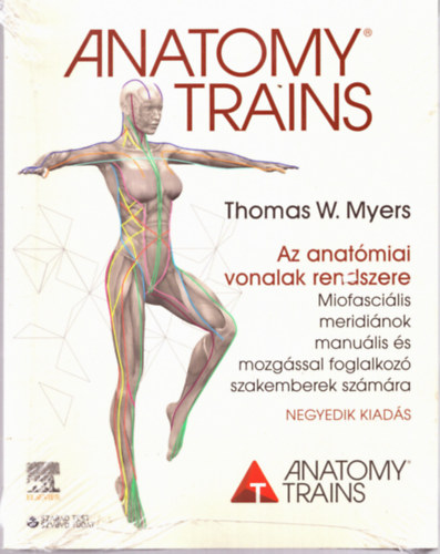 Az anatmiai vonalak rendszere (Anatomy trains)