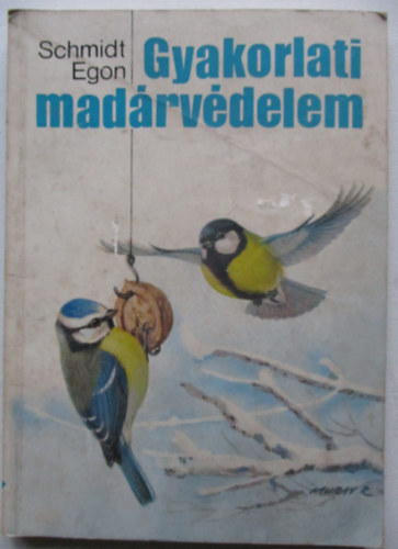 Gyakorlati madrvdelem