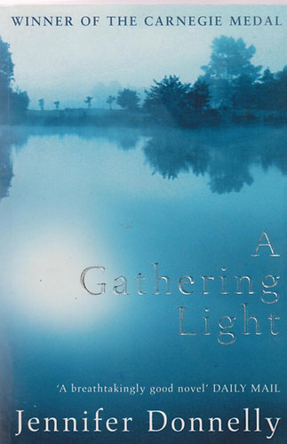 Jennifer Donnelly - A Gathering Light