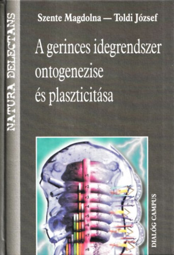 A gerinces idegrendszer ontogenezise s plaszticitsa