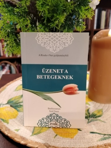 Bediuzzaman Said Nursi - �zenet a betegeknek