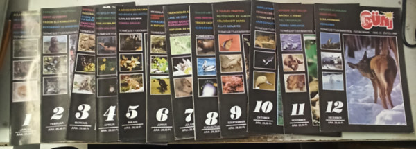 Sni magazin 1989 vfolyam 1-12 szmok (teljes)