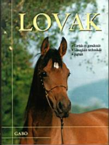 Lovak - Tart�s �s gondoz�s