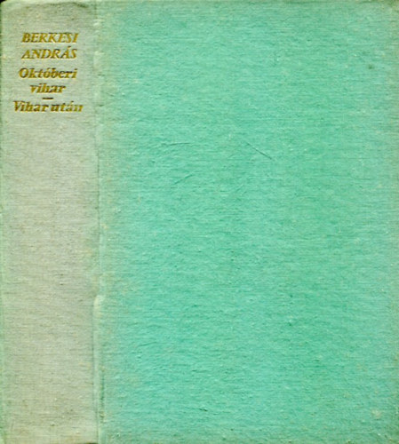 Okt�beri vihar - Vihar ut�n