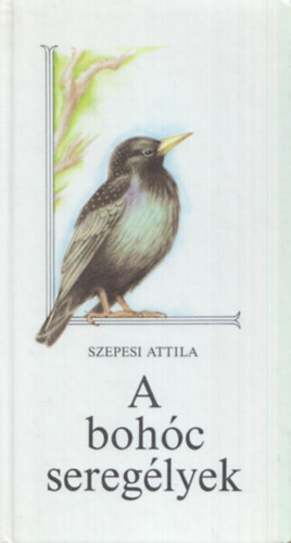 A bohc sereglyek