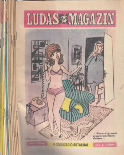 Ludas magazin 1976/1-12. (teljes �vfolyam, lapsz�monk�nt) + Ny�ri �r�m�k