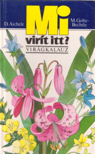 Mi virt itt? (virgkalauz)