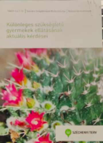 Klnleges szksglet gyermekek elltsnak aktulis krdsei