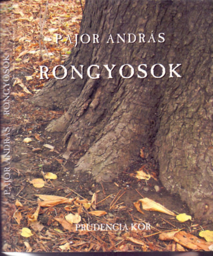 Rongyosok