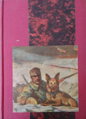 Ngylb bajtrsaink. llatok a hborban