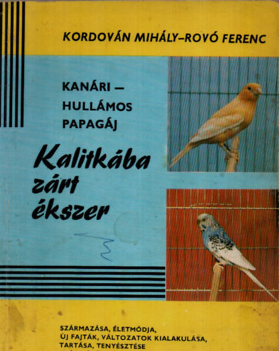 Kalitkba zrt kszer: Kanri-Hullmos papagj
