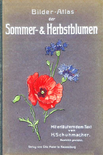 H. Schumacher - Sommer- und Herbstblumen - Bilderatlas mit 162 farbigen Abbildungen