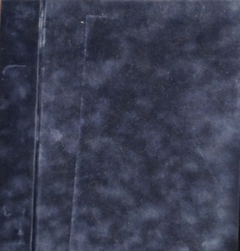 Magyarok a vil�g �lvonal�ban (kartontokban, b�rsony d�szdobozban, ez�st eml�k�remmel)