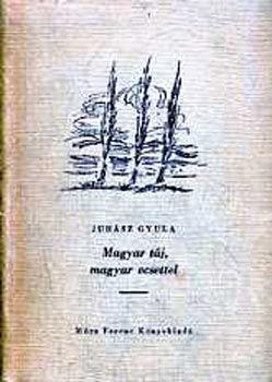 Magyar tj, magyar ecsettel