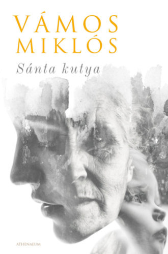Snta kutya
