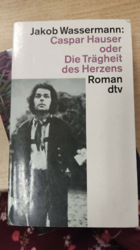 Caspar Hauser: oder Die Tr�gheit des Herzens