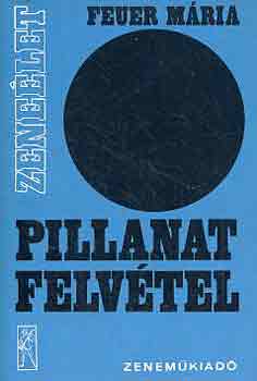 Pillanatfelvtel (magyar zeneszerzs 1975-1978)