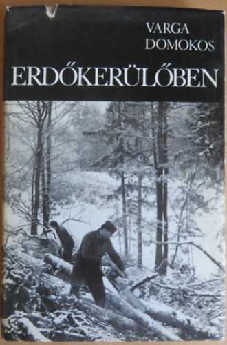 Varga Domokos - Erdkerlben