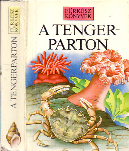 Fitter, R.-Ray, S. - A tengerparton \(Frksz knyvek)