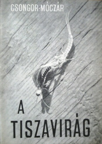 A tiszavirg