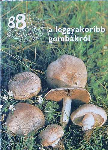 A leggyakoribb gomb�kr�l