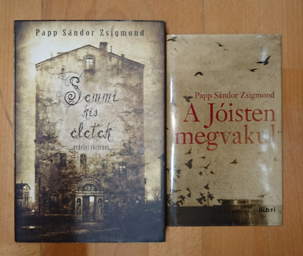 Papp S�ndor Zsigmond 2 k�tete_ Semmi kis �letek, A J�isten megvakul