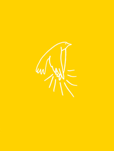 A madarak tapsolnak, amikor felszllnak