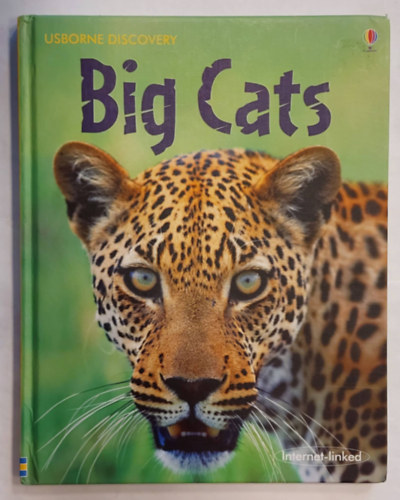 Stephanie Turnbull Jonathan Sheikh-Miller - Big Cats (Usborne Discovery) (llatos ismeretterjeszt, angol nyelven)