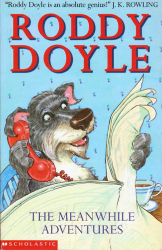 Roddy Doyle - The Meanwhile Adventures