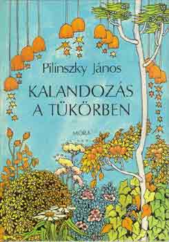 Pilinszky Jnos - Kalandozs a tkrben