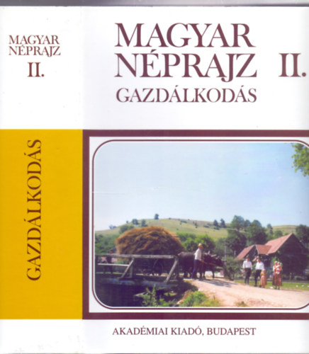 Magyar Nprajz II. - Gazdlkods