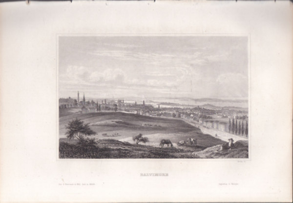 Baltimore (Baltimore vros, Maryland, USA, szak-Amerika) (16x23,5 cm mret eredeti aclmetszet, 1856-bl)