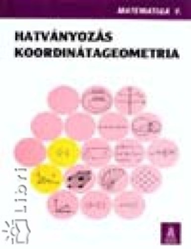 Hatv�nyoz�s, Koordin�tageometria 11.o.
