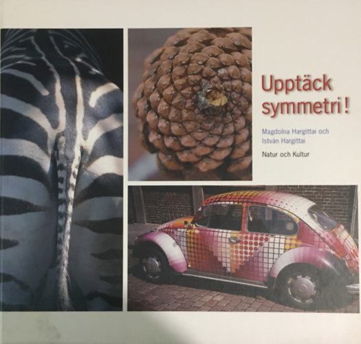Upptck symmetri!
