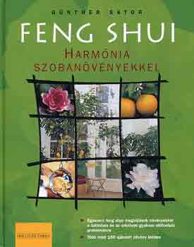 Feng shui: Harmnia szobanvnyekkel