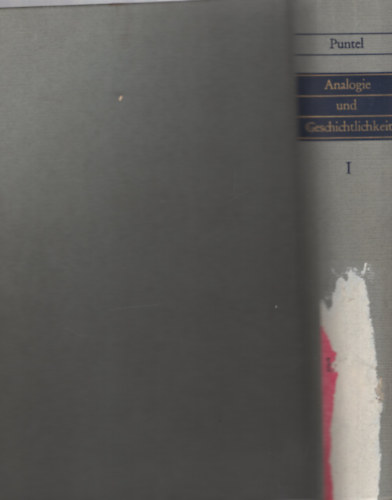 L. Bruno Puntel - Analogie und Geschichtlichkeit