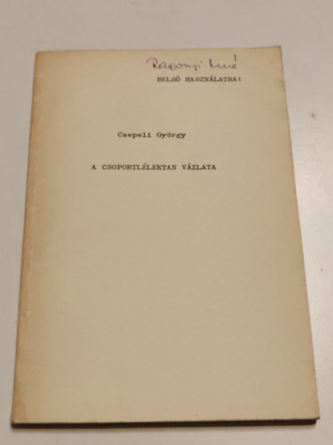 A csoportl�lektan v�zlata