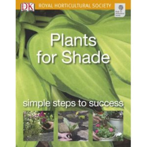 Plants for Shade: Simple steps to success