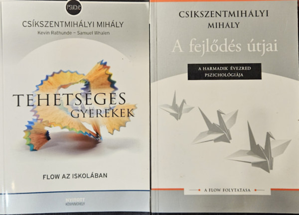 Tehets�ges gyerekek: Flow az iskol�ban + A fejl�d�s �tjai: A Flow folytat�sa (2 k�tet)