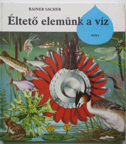 ltet elemnk a vz