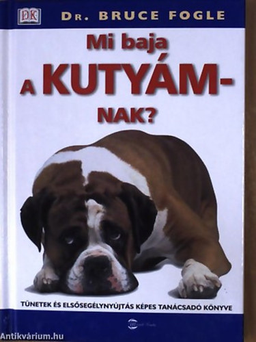 Mi baja a kuty�mnak? T�NETEK �S ELS�SEG�LYNY�JT�S K�PES TAN�CSAD� K�NYVE